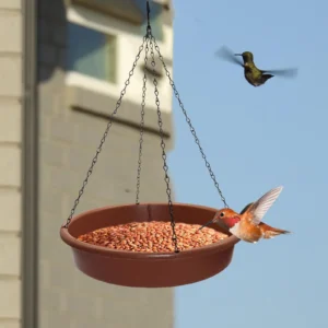 Feeding Dish Tray Platform Feeder  with Metal Hooks