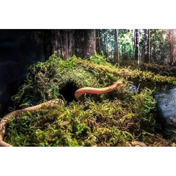 Mossy Cave Hide, 4", Green - Image 3