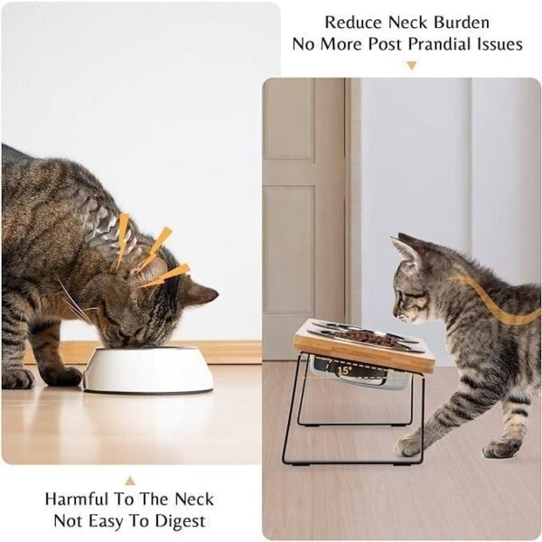 Elevated Cat Bowls for Food and Water - Loplurea 15° Tilted Raised Stainless Steel Cat Food - Image 3