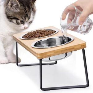 Elevated Cat Bowls for Food and Water - Loplurea 15° Tilted Raised Stainless Steel Cat Food