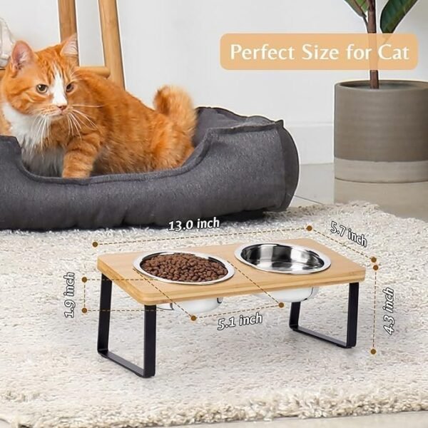 Elevated Cat Bowls for Food and Water - Loplurea 15° Tilted Raised Stainless Steel Cat Food - Image 2