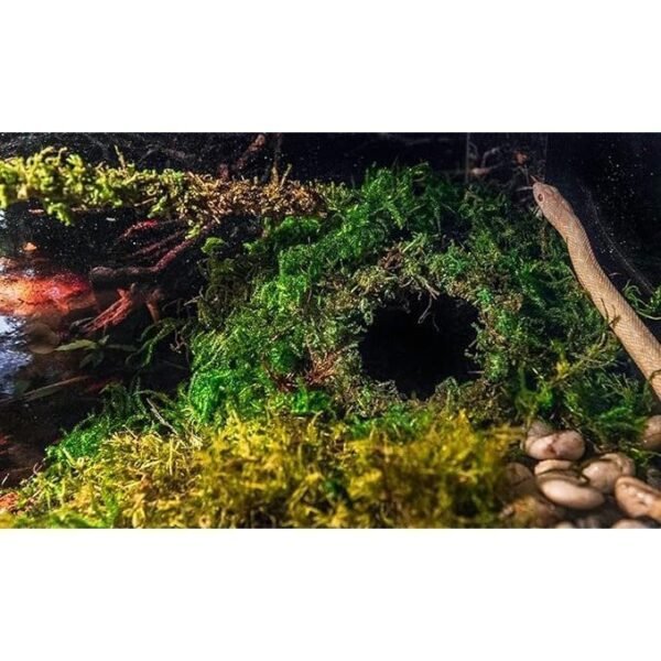 Mossy Cave Hide, 4", Green - Image 2