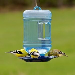 Outdoor Hanging Water Cooler Bird Waterer and Dispenser