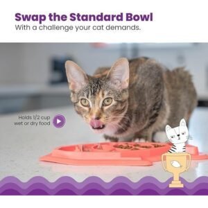 Fishie Fun Feed Mat - Slow Feeder Cat Bowl